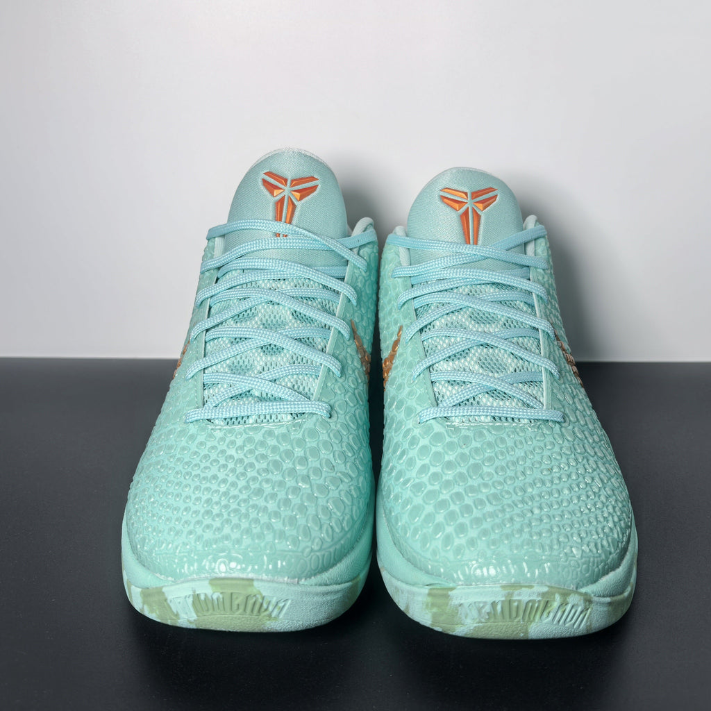 NK Zoom Kobe 6 Protro 