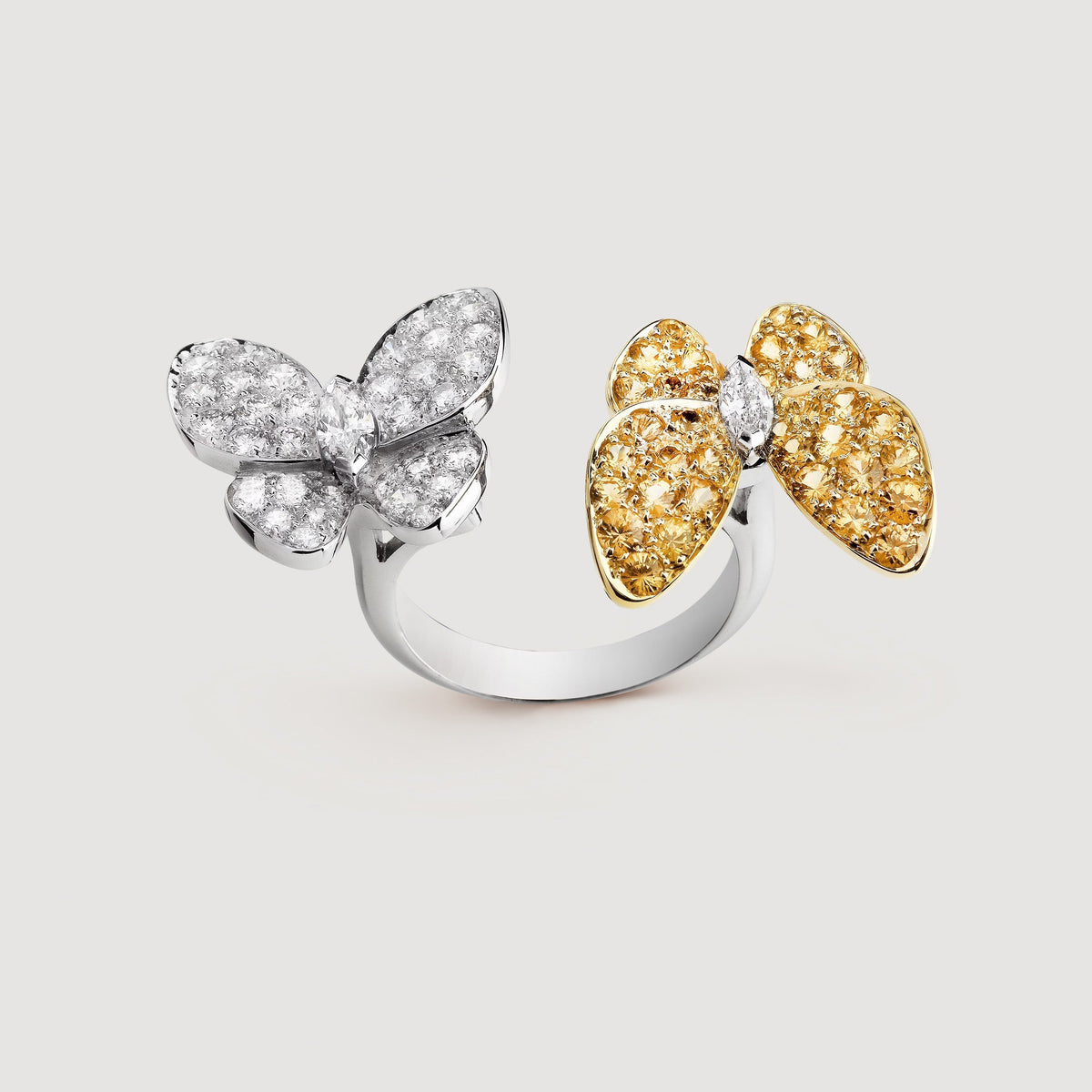 Two Butterfly Between The Finger Ring